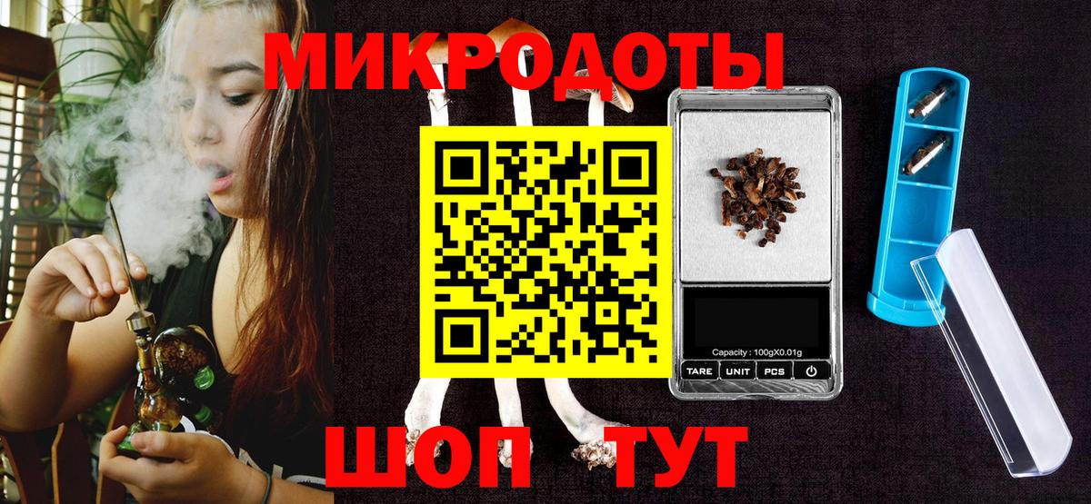 Гай  Галлюциногенные грибы MAGIC MUSHROOMS  Вход с VPN 