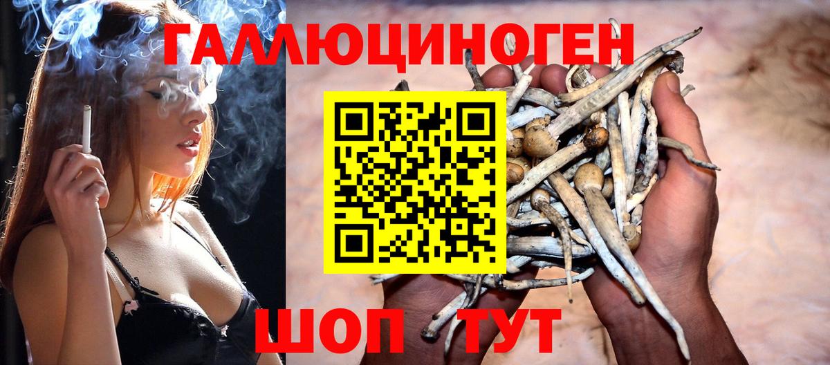 Галлюциногенные грибы GOLDEN TEACHER Гай